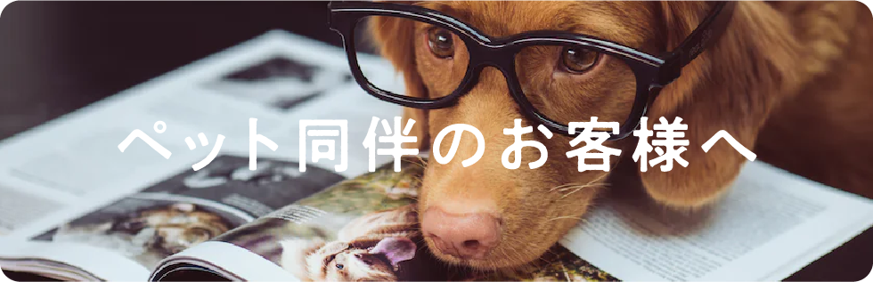 对宠物同伴的顾客
